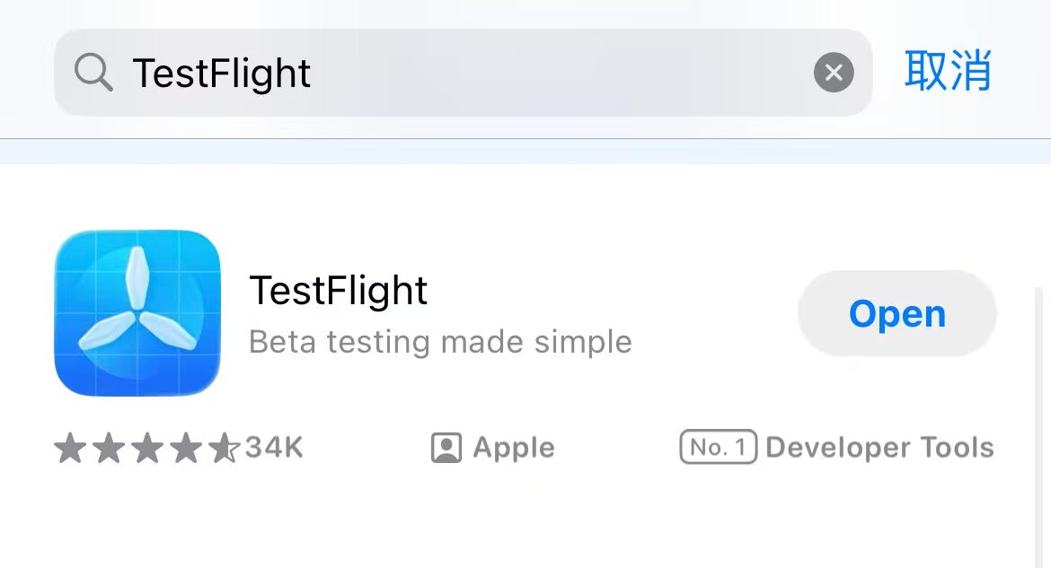 App Store 搜索 TestFlight 下载截图